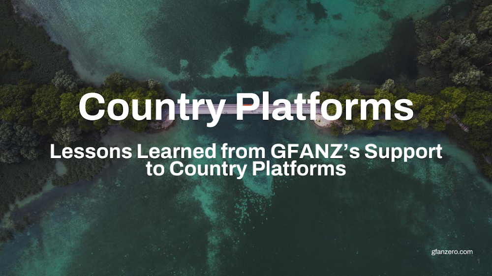 Lessons Learned from GFANZ’s Support to Country Platforms
