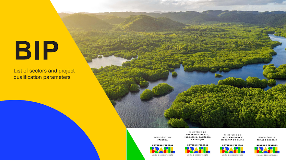 BIP List of Sectors and Project Qualification Parameters Presentation.pdf