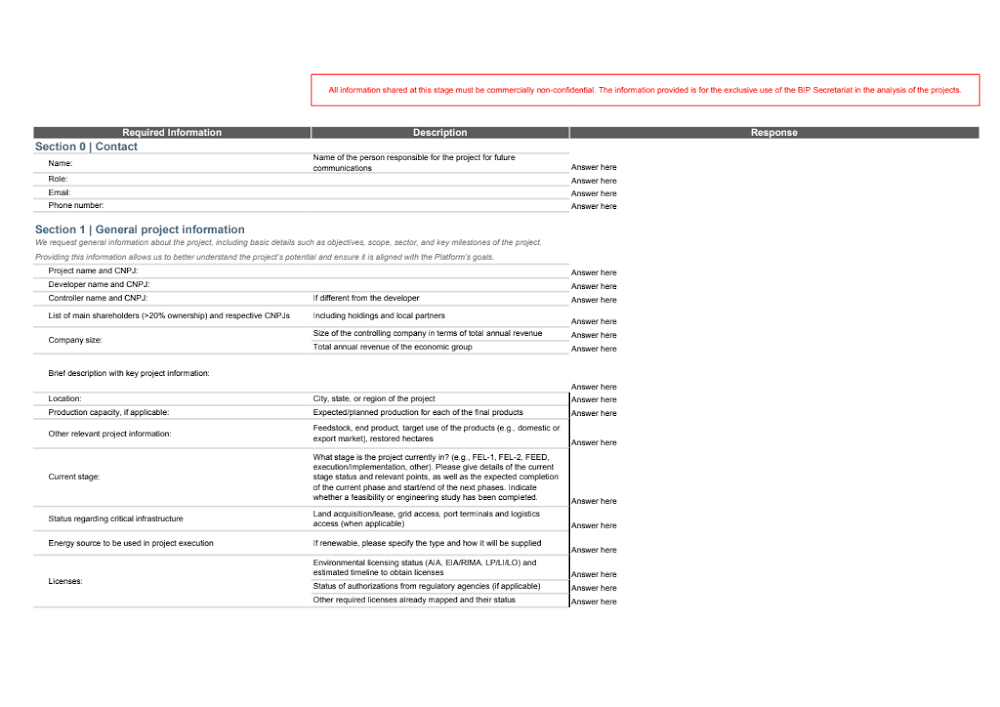 BIP Information Required Per Project.xlsx