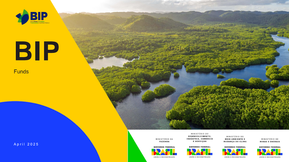 BIP Funds Qualification Presentation.pdf