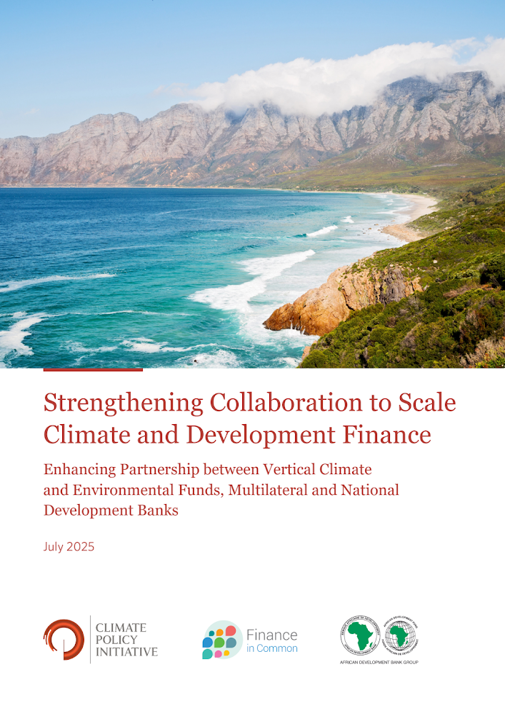 Strengthening-Collaboration-to-Scale-Climate-and-Development-Finance.pdf