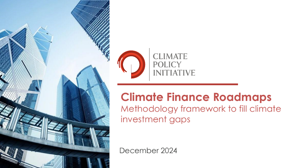Climate-Finance-Roadmaps.pdf
