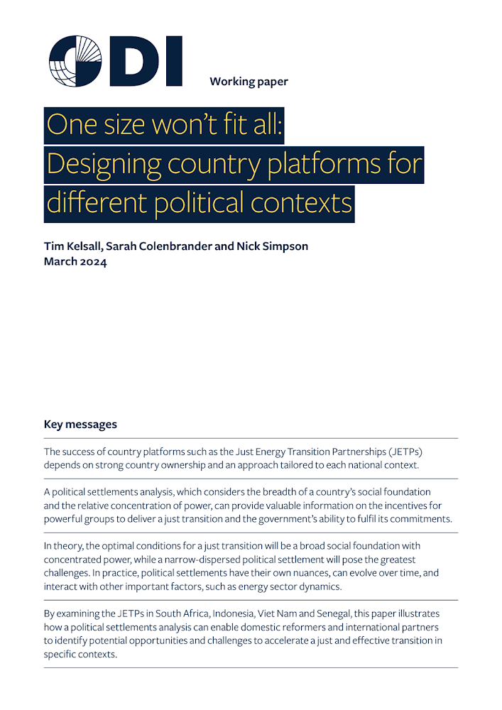 One_size_wont_fit_all-designing_country_platforms_for_different_political_contexts.pdf
