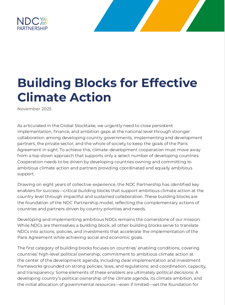 building-blocks-effective-climate-action.pdf