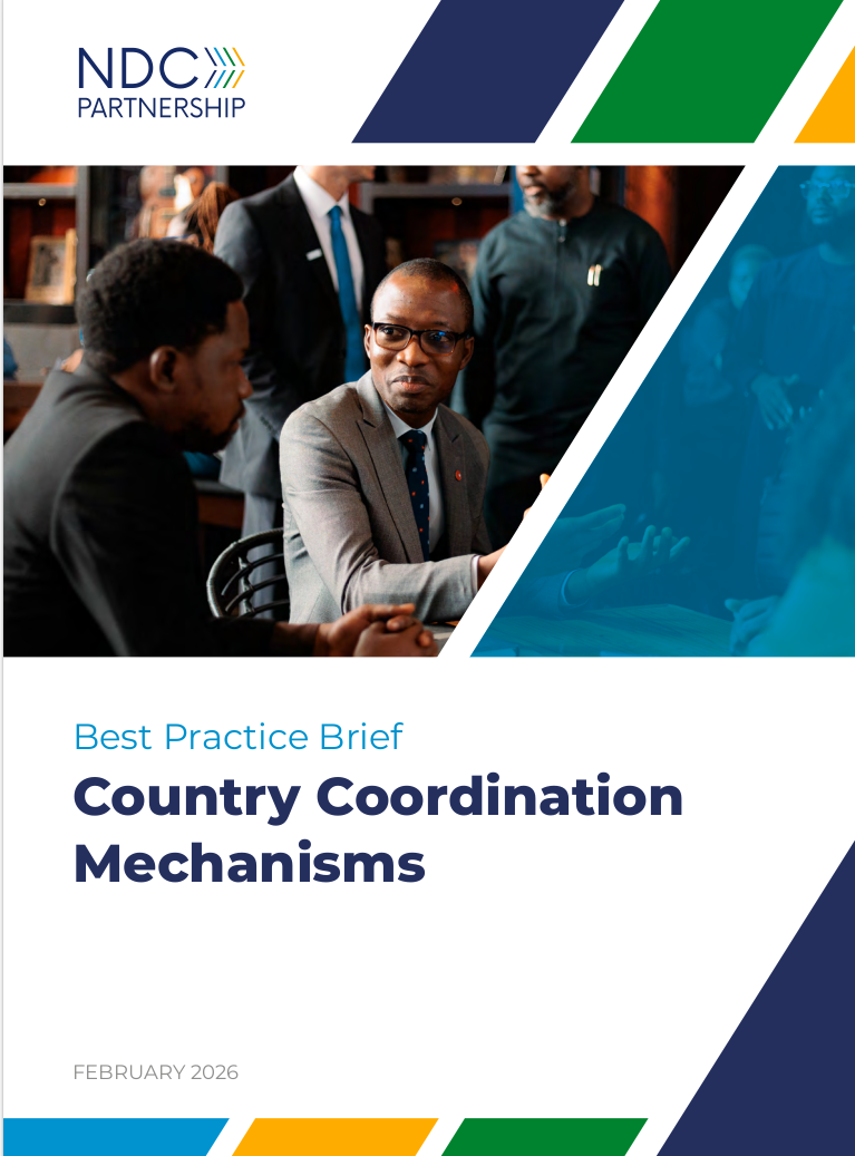 country-coordination-mechanisms-best-practice-brief.pdf