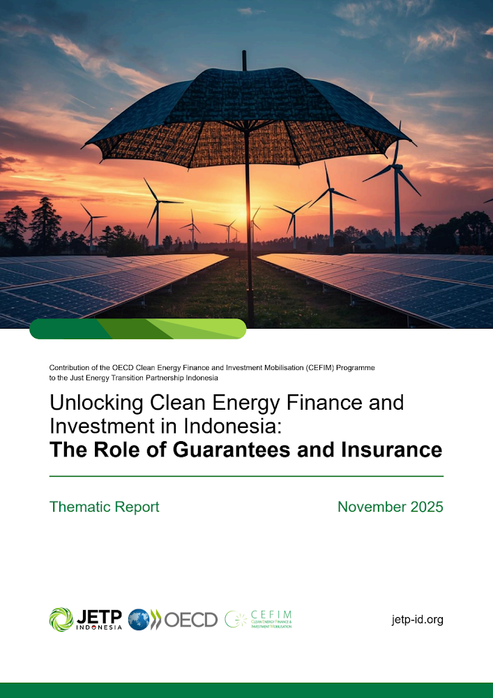 Unlocking Clean Energy Finance and Investment In Indonesia The Role of Guarantees and Insurance.pdf